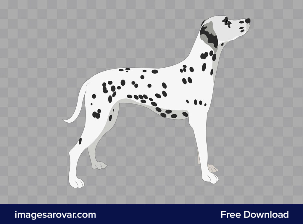 Dalmatian Dog Clipart Png Vector Illustration Free Download - Image ...