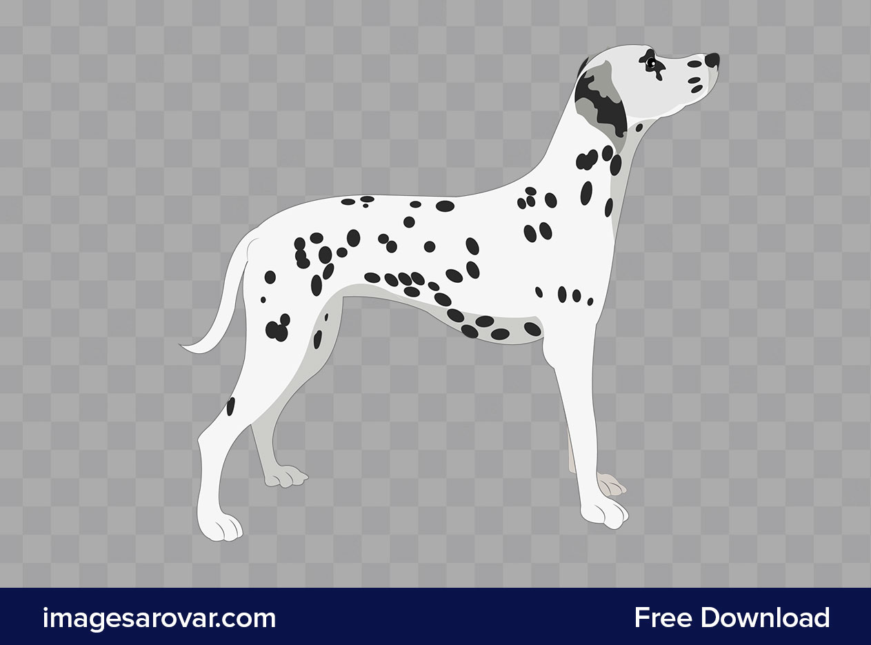 dalmatian dog clipart png vector illustration free download