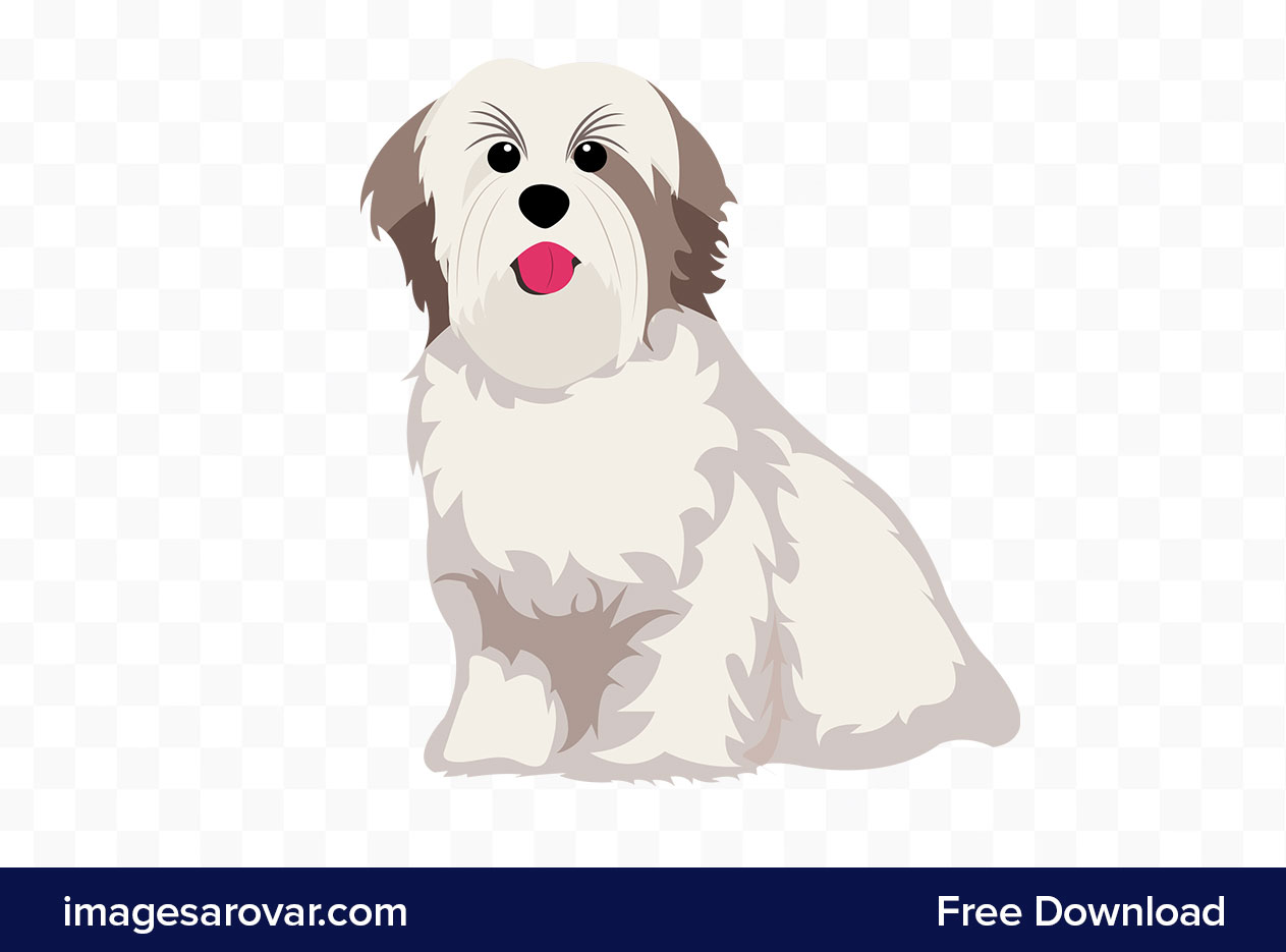 cute havanese puppy dog clipart png vector free download